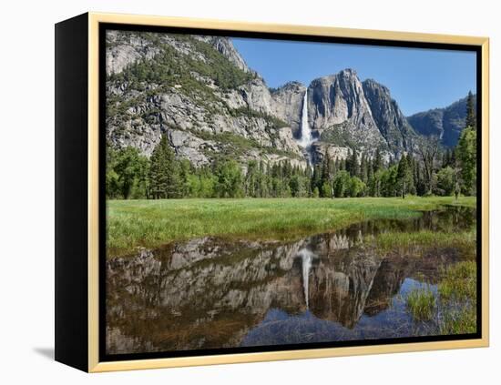 Reflection of Yosemite Falls in Merced River, Yosemite National Park, California, USA-null-Framed Premier Image Canvas