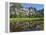 Reflection of Yosemite Falls in Merced River, Yosemite National Park, California, USA-null-Framed Premier Image Canvas