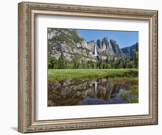 Reflection of Yosemite Falls in Merced River, Yosemite National Park, California, USA-null-Framed Photographic Print