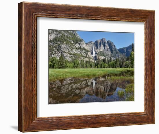 Reflection of Yosemite Falls in Merced River, Yosemite National Park, California, USA-null-Framed Photographic Print