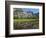 Reflection of Yosemite Falls in Merced River, Yosemite National Park, California, USA-null-Framed Photographic Print