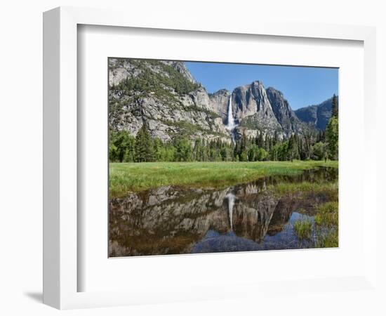 Reflection of Yosemite Falls in Merced River, Yosemite National Park, California, USA-null-Framed Photographic Print