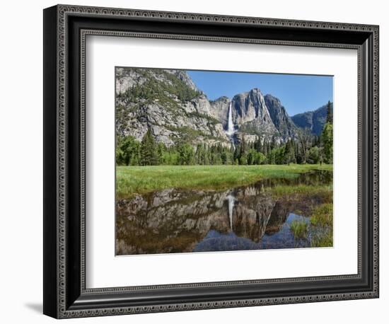 Reflection of Yosemite Falls in Merced River, Yosemite National Park, California, USA-null-Framed Photographic Print