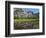 Reflection of Yosemite Falls in Merced River, Yosemite National Park, California, USA-null-Framed Photographic Print