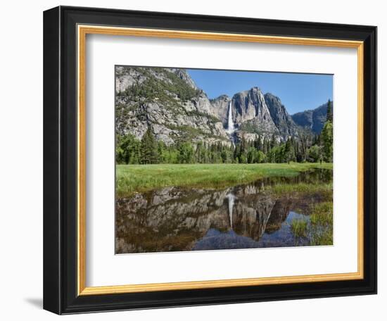 Reflection of Yosemite Falls in Merced River, Yosemite National Park, California, USA-null-Framed Photographic Print