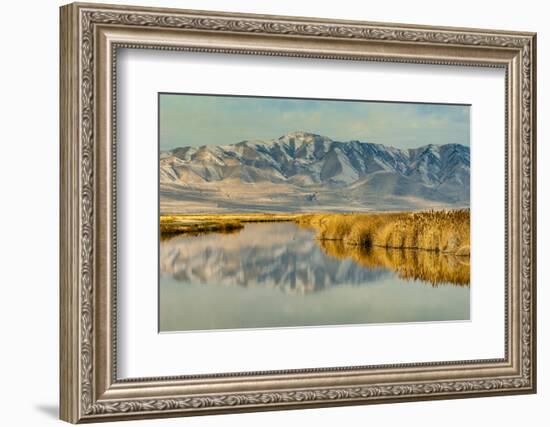 Reflection on Bear River National Wildlife Refuge, Utah-Howie Garber-Framed Photographic Print