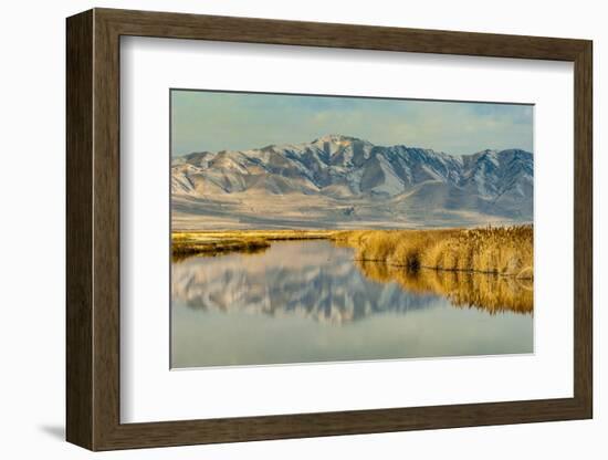 Reflection on Bear River National Wildlife Refuge, Utah-Howie Garber-Framed Photographic Print