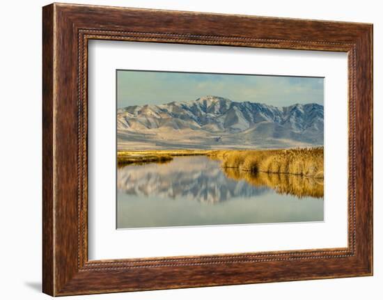 Reflection on Bear River National Wildlife Refuge, Utah-Howie Garber-Framed Photographic Print