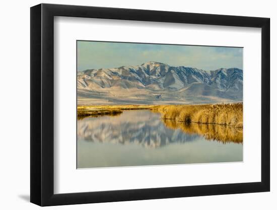 Reflection on Bear River National Wildlife Refuge, Utah-Howie Garber-Framed Photographic Print