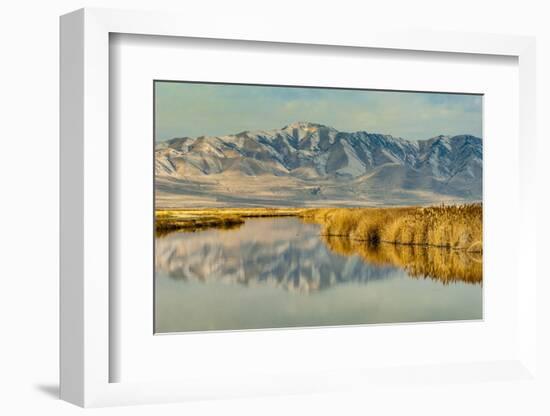 Reflection on Bear River National Wildlife Refuge, Utah-Howie Garber-Framed Photographic Print