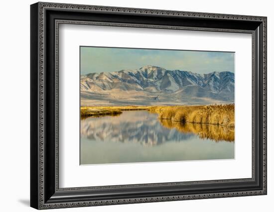 Reflection on Bear River National Wildlife Refuge, Utah-Howie Garber-Framed Photographic Print