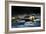 Reflection Pond-Ursula Abresch-Framed Photographic Print