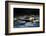 Reflection Pond-Ursula Abresch-Framed Photographic Print