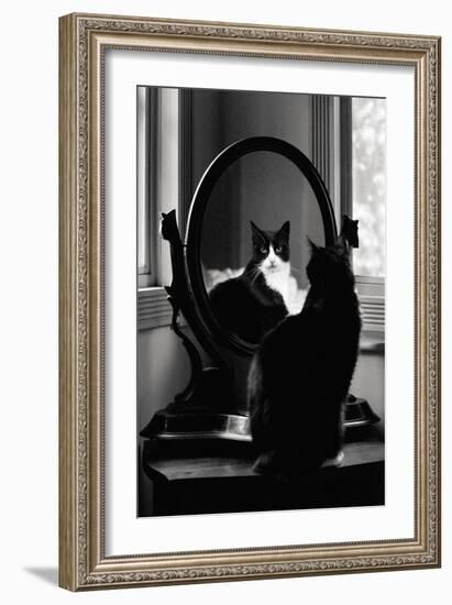 Reflection-Tom Artin-Framed Art Print