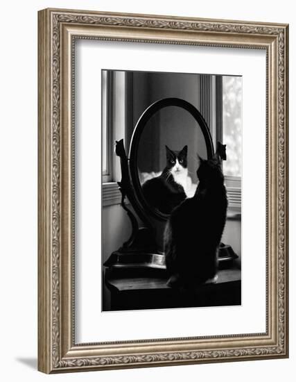 Reflection-Tom Artin-Framed Art Print