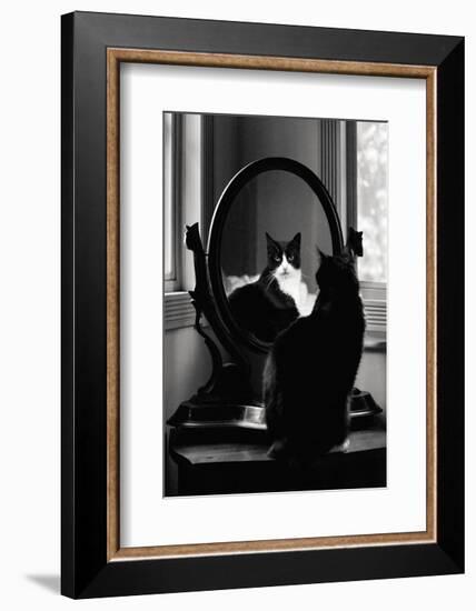 Reflection-Tom Artin-Framed Art Print