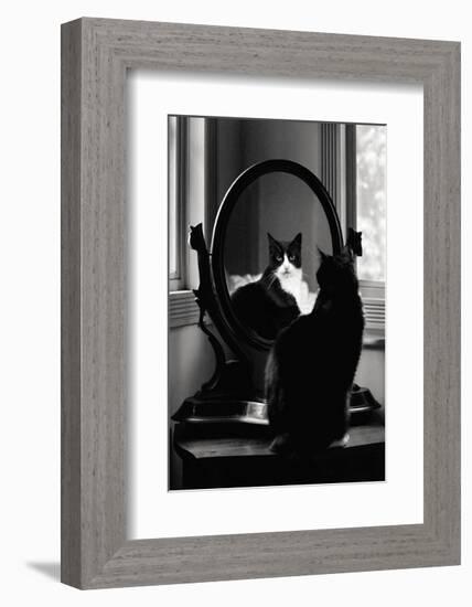 Reflection-Tom Artin-Framed Art Print