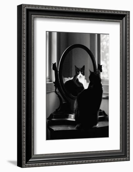 Reflection-Tom Artin-Framed Art Print