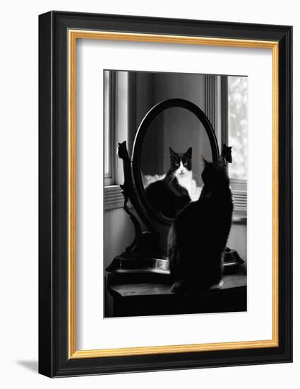 Reflection-Tom Artin-Framed Art Print