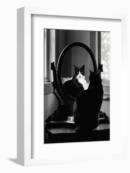 Reflection-Tom Artin-Framed Art Print