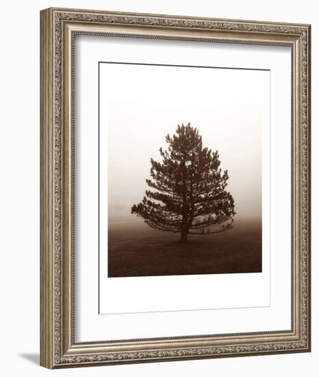 Reflection-Erin Clark-Framed Art Print