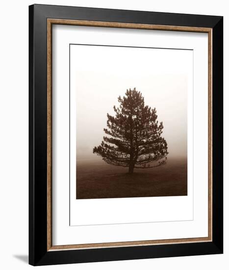 Reflection-Erin Clark-Framed Art Print