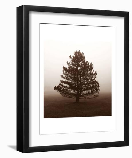 Reflection-Erin Clark-Framed Art Print