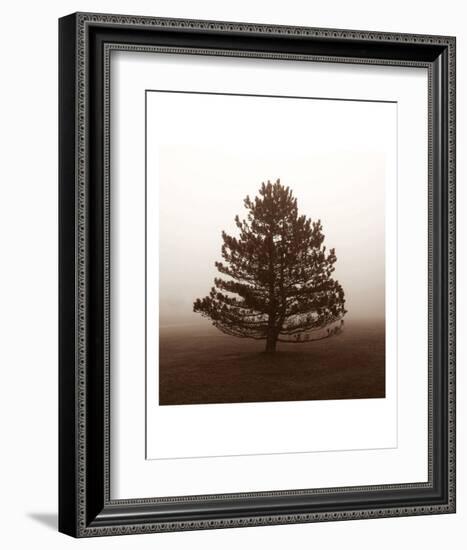 Reflection-Erin Clark-Framed Art Print