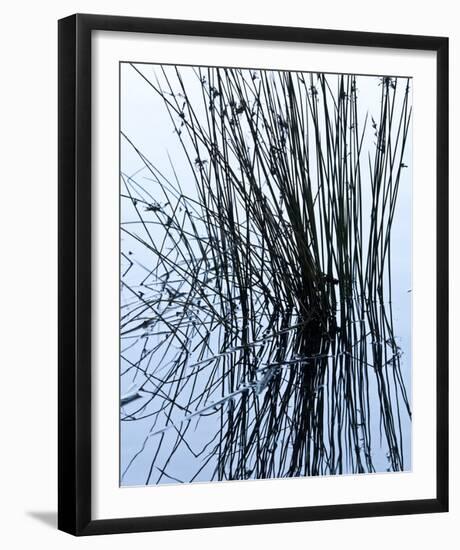 Reflection-Gaetan Caron-Framed Giclee Print