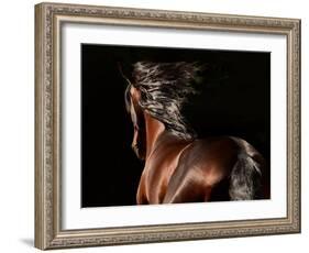 Reflection-Tony Stromberg-Framed Photographic Print