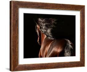 Reflection-Tony Stromberg-Framed Photographic Print