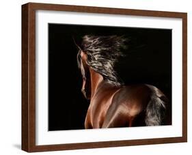 Reflection-Tony Stromberg-Framed Photographic Print