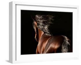 Reflection-Tony Stromberg-Framed Photographic Print