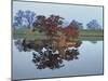 Reflections #2, Hocking Hills, Ohio ‘92-Monte Nagler-Mounted Photographic Print