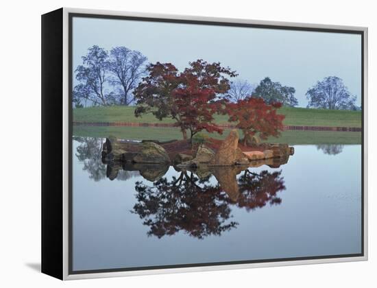 Reflections #2, Hocking Hills, Ohio ‘92-Monte Nagler-Framed Premier Image Canvas