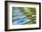 Reflections and boat wake patterns in water, Glacier Bay NP, Alaska-Don Paulson-Framed Photographic Print