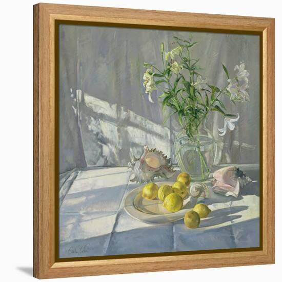 Reflections and Shadows-Timothy Easton-Framed Premier Image Canvas