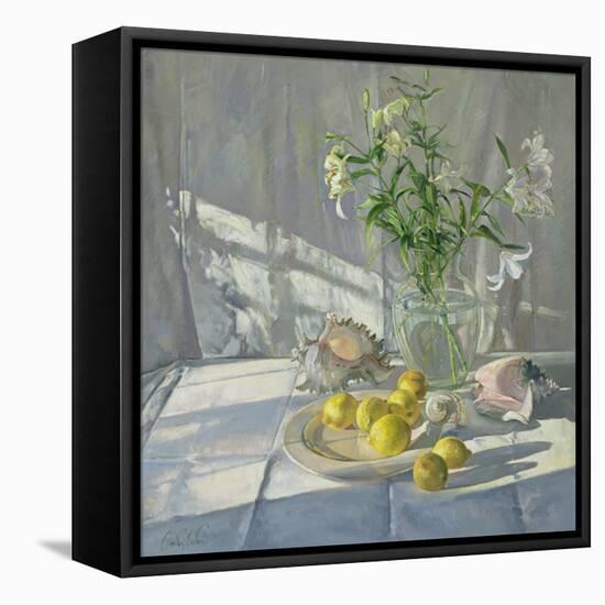 Reflections and Shadows-Timothy Easton-Framed Premier Image Canvas