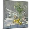 Reflections and Shadows-Timothy Easton-Mounted Giclee Print