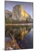 Reflections at El Capitan, Yosemite-Vincent James-Mounted Photographic Print