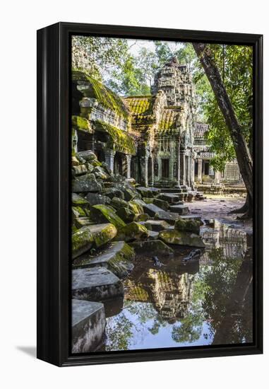 Reflections at Ta Prohm Temple (Rajavihara)-Michael Nolan-Framed Premier Image Canvas