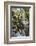 Reflections at Ta Prohm Temple (Rajavihara)-Michael Nolan-Framed Photographic Print