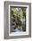 Reflections at Ta Prohm Temple (Rajavihara)-Michael Nolan-Framed Photographic Print