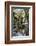 Reflections at Ta Prohm Temple (Rajavihara)-Michael Nolan-Framed Photographic Print