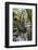 Reflections at Ta Prohm Temple (Rajavihara)-Michael Nolan-Framed Photographic Print