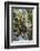 Reflections at Ta Prohm Temple (Rajavihara)-Michael Nolan-Framed Photographic Print