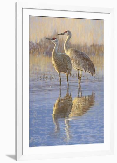 Reflections (Birds)-Kalon Baughan-Framed Giclee Print