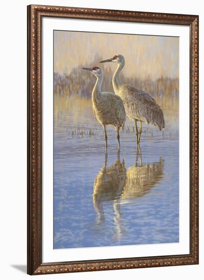 Reflections (Birds)-Kalon Baughan-Framed Giclee Print