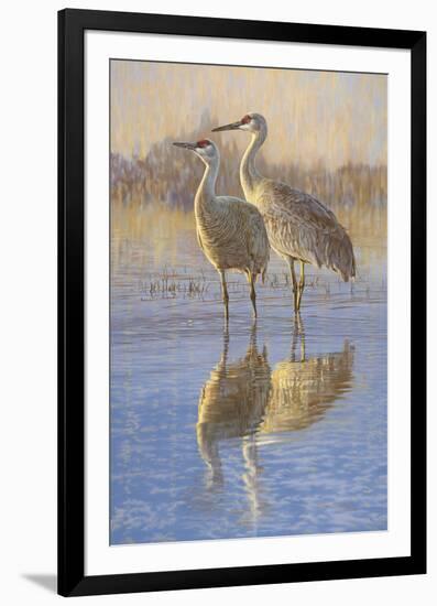 Reflections (Birds)-Kalon Baughan-Framed Giclee Print