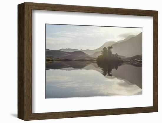 Reflections, Cregannen Lake, Dolgellau, Gwynedd, North Wales, United Kingdom, Europe-Janette Hill-Framed Photographic Print